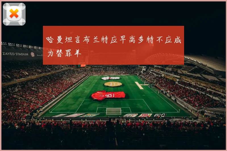 哈曼坦言布兰特应早离多特不应成为替罪羊